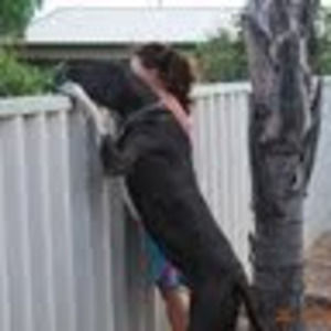 Meet your Posher, Rochelle